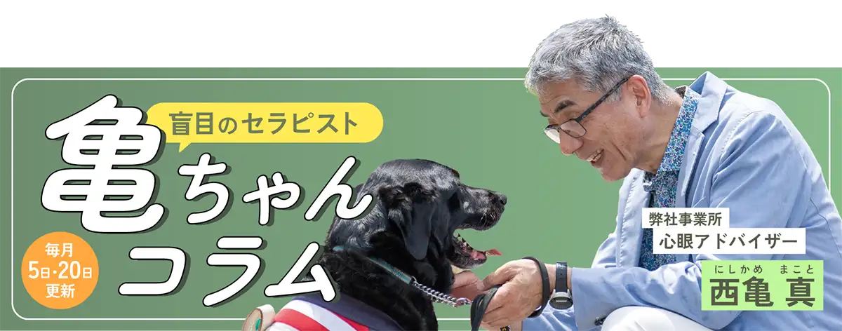 亀ちゃんコラム