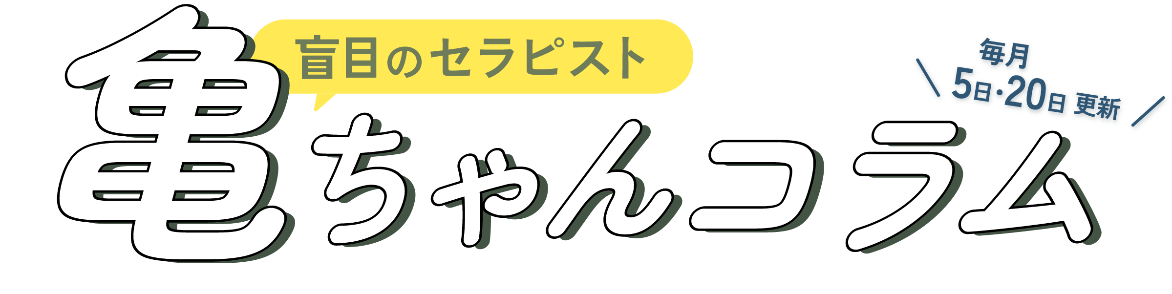 亀ちゃんコラム